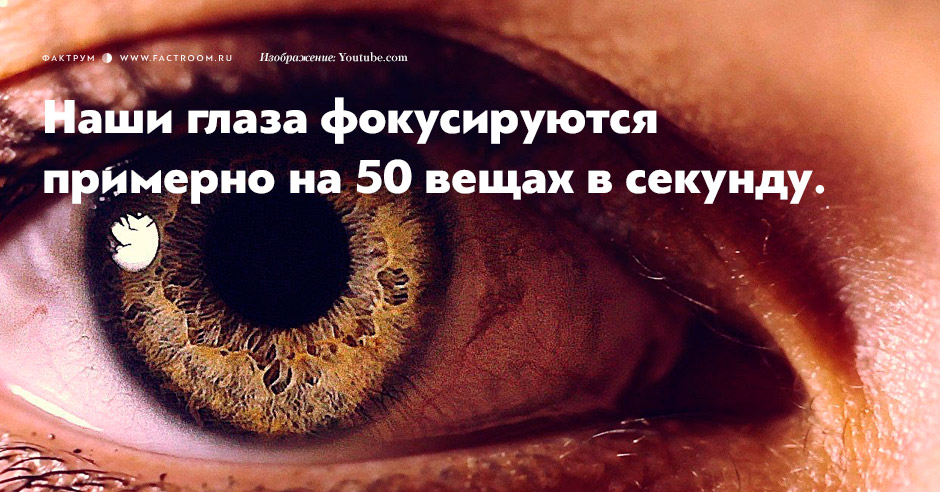 15 обалденных фактов о глазах, которых вы никогда не слышали