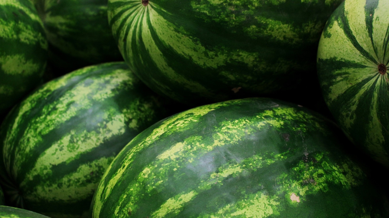 Пассажир легковушки погиб в ДТП с перевозившей арбузы фурой под Новосибирском