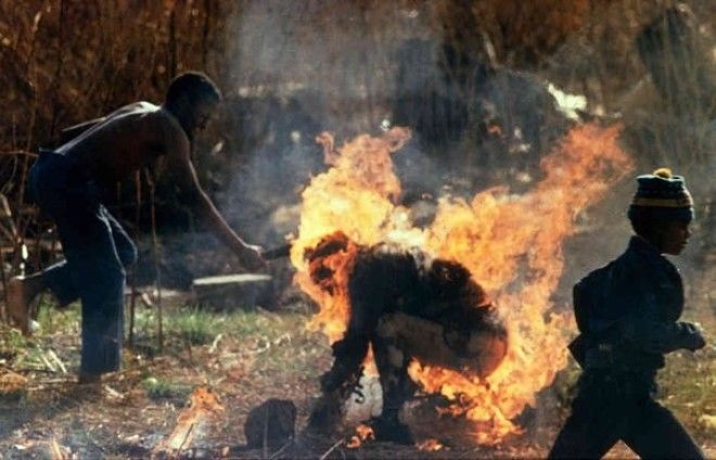 Сторонники Африканского национального Конгресса сжигают человека, в котором заподозрили шпиона зулу. ЮАР история, события, фото