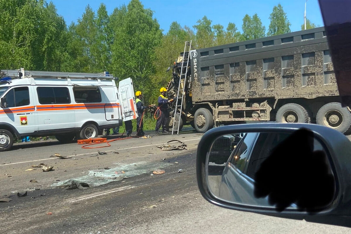 Очевидцы назвали утку с утятами причиной столкновения самосвала с большегрузом