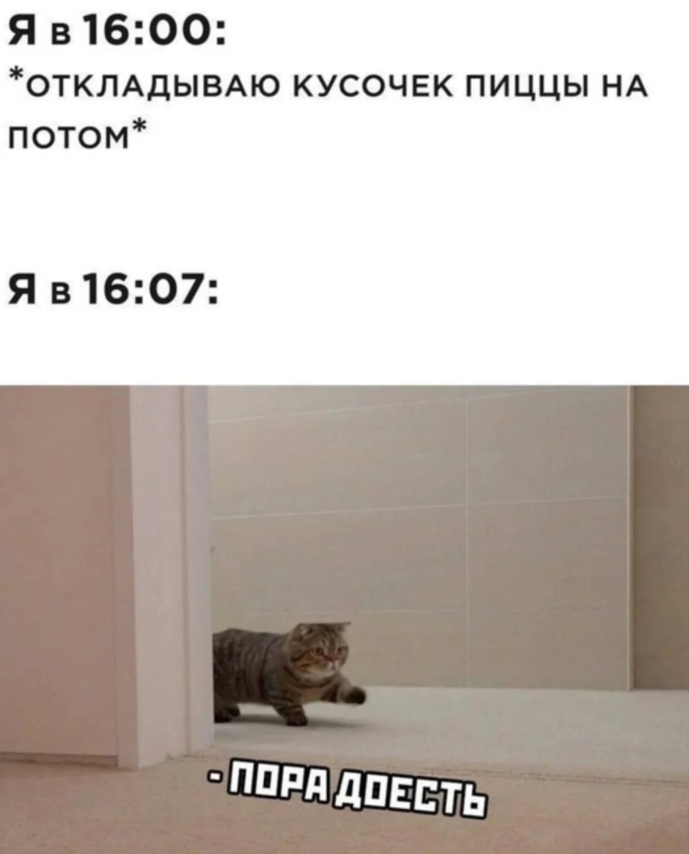 Смешные картинки и мемы про работу за день до выходных Смешные картинки и мемы про работу за день до выходных