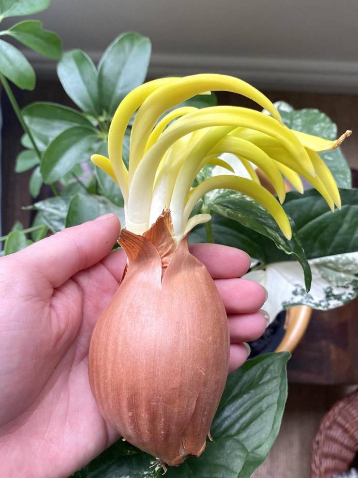 Подборка прикольных картинок  приколы,смешные картинки,юмор