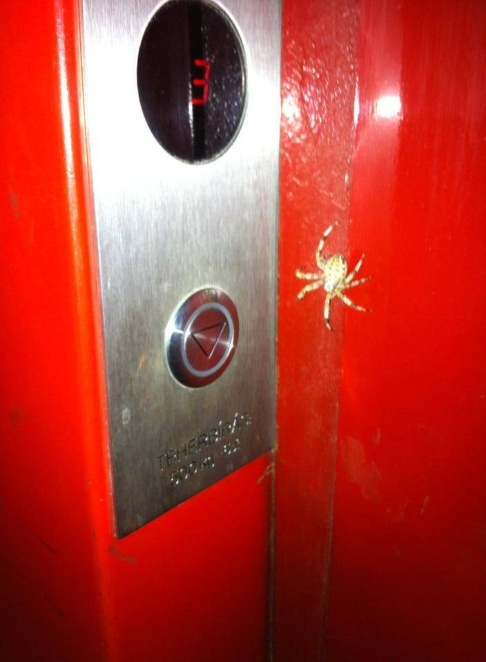 Подборка прикольных картинок Подборка прикольных картинок приколы,смешные картинки,юмор