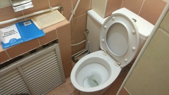 20 прикольных идей, чтобы отказаться от телефона в туалете 