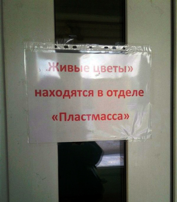 Цветы в пластмассе. Цветы в пластмассе.