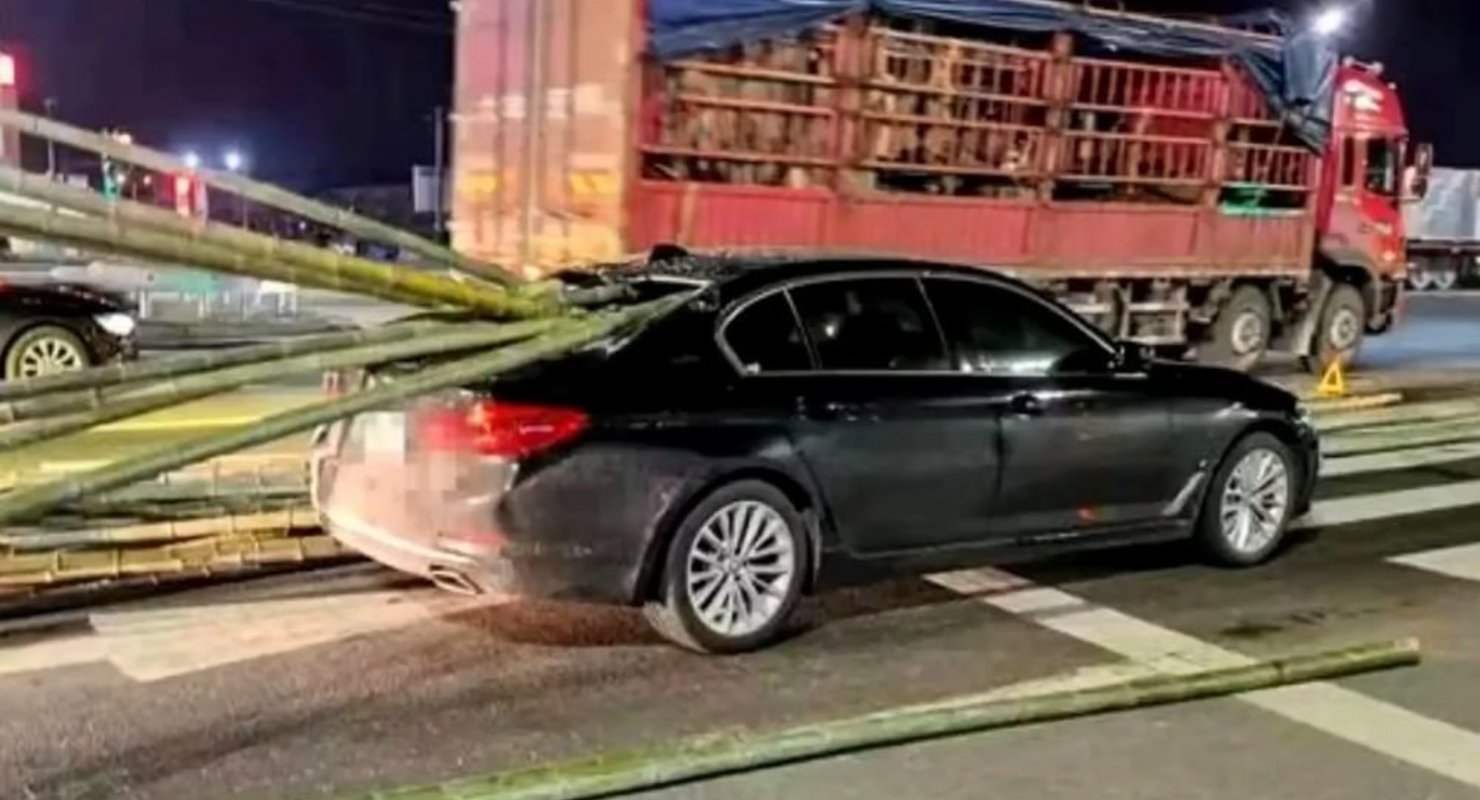 Видео: толстые стебли бамбука пронзили легковое авто