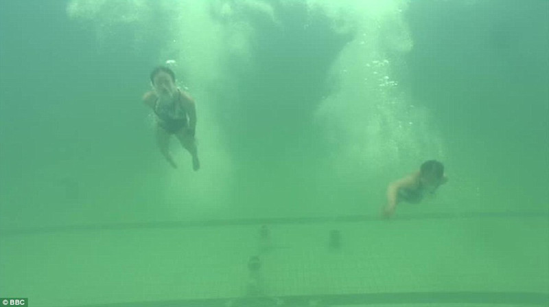Из-за этой зелени под водой спортсменов было почти не видно. Олимпиада 2016, бассейн, коты, плавание, сделай сам