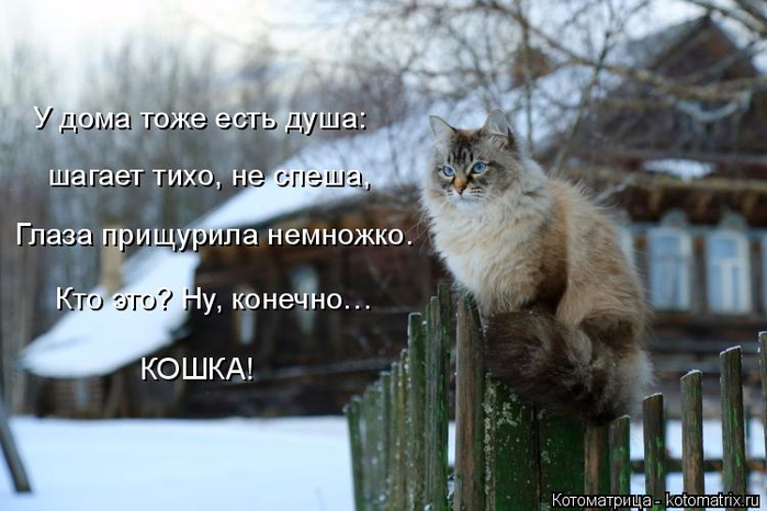 14 (700x466, 300Kb)