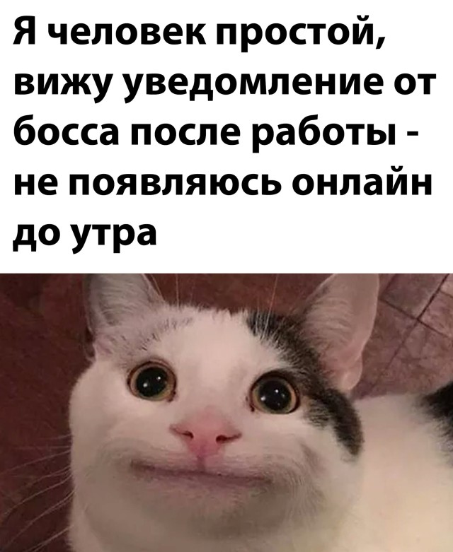 Подборка прикольных картинок Подборка прикольных картинок приколы,смешные картинки,юмор