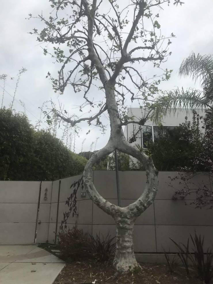 Подборка прикольных картинок Подборка прикольных картинок приколы,смешные картинки,юмор