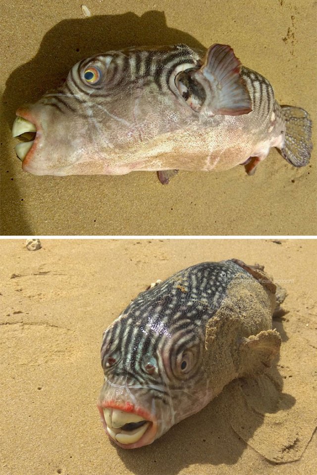 Фотоподборка четверга 