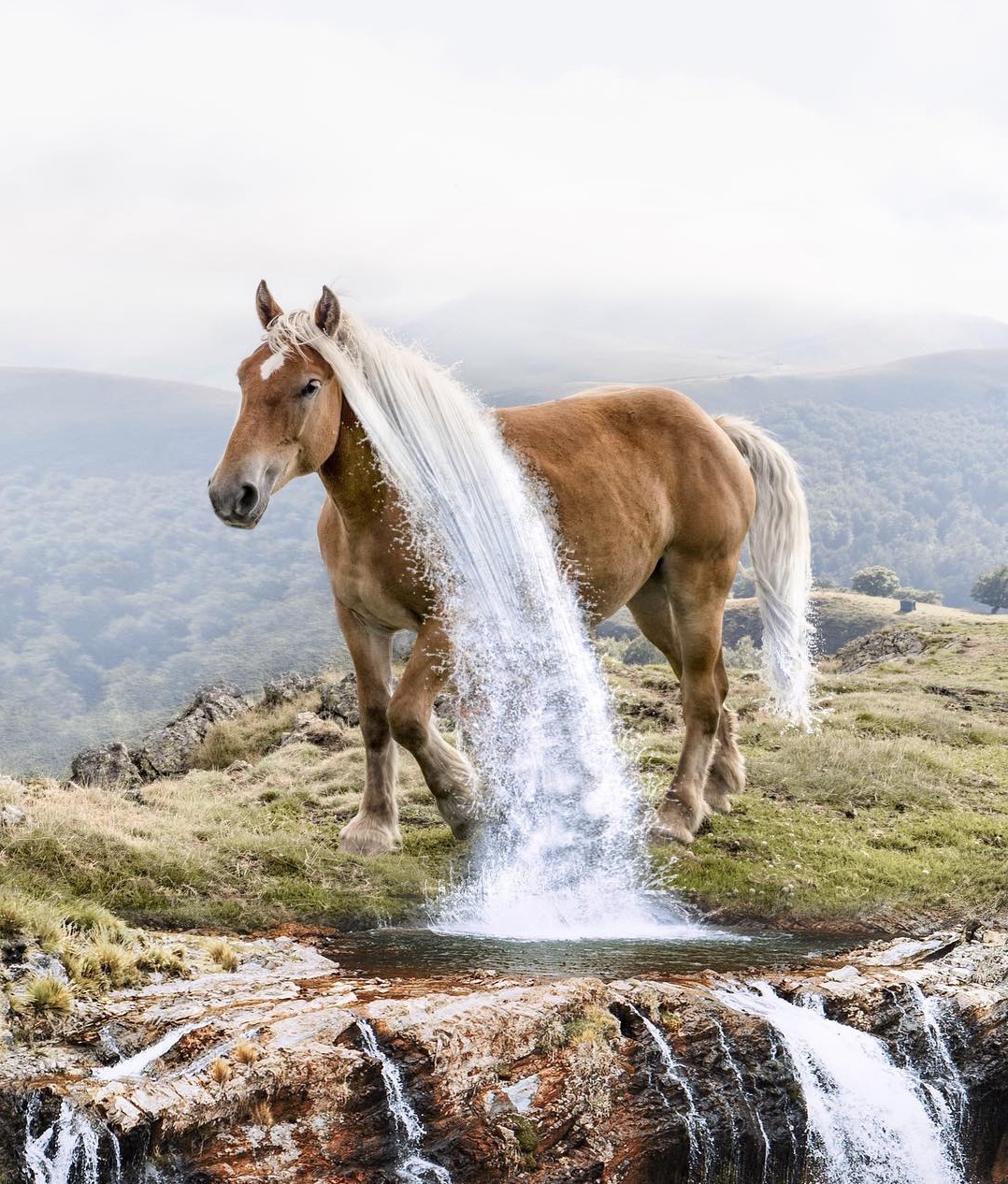 Луиза Азеведо и ее сказки Луиза Азеведо и ее сказки