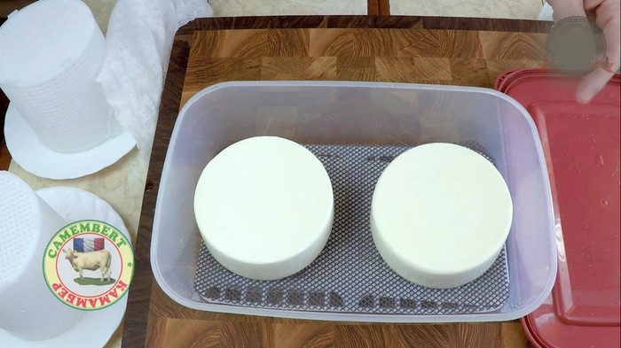 Сыр Камамбер с Нормандской ноткой | Camembert cheese домашний сыр,камамбер,кулинария,сыр
