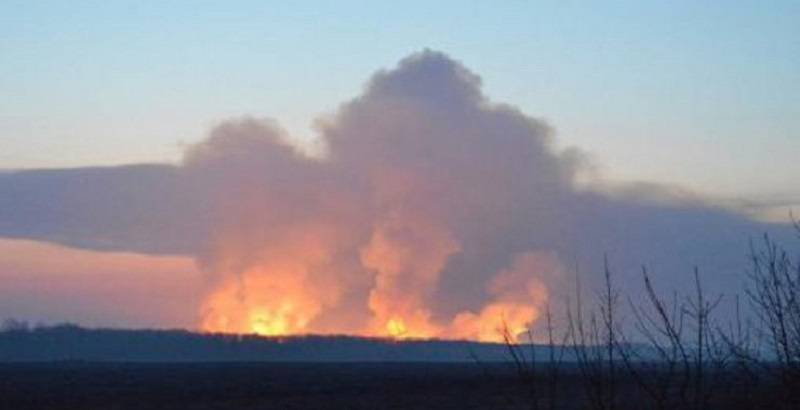 Горе тебе, Европа! Они идут! Горе тебе, Европа! Они идут! геополитика