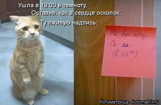 10 (556x363, 118Kb)