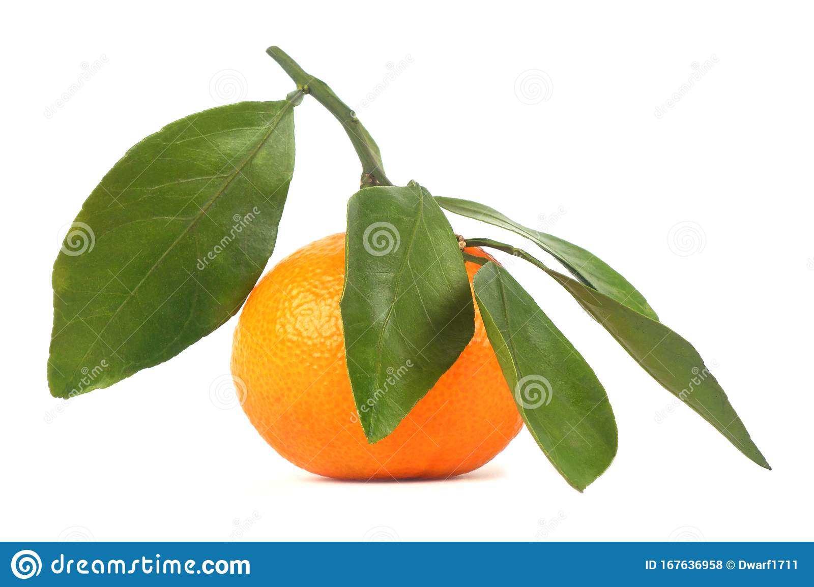 Ripe  juicy orange mandarin with leaves Isolated on a white background
