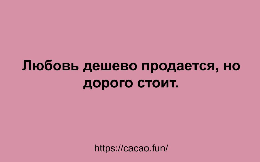 Анекдоты и веселые высказывания, которые точно вам пригодятся 