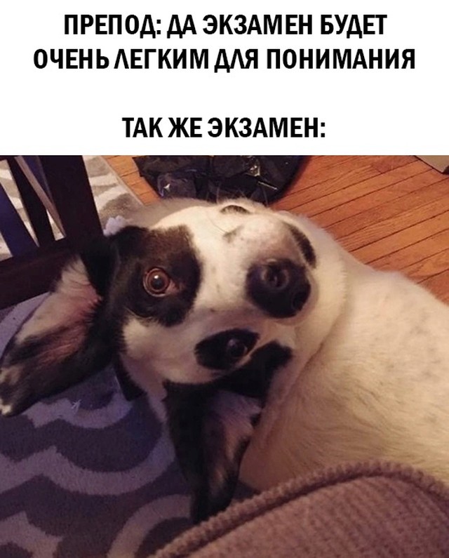 Подборка смешных картинок 