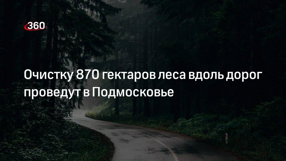 Очистку 870 гектаров леса вдоль дорог проведут в Подмосковье