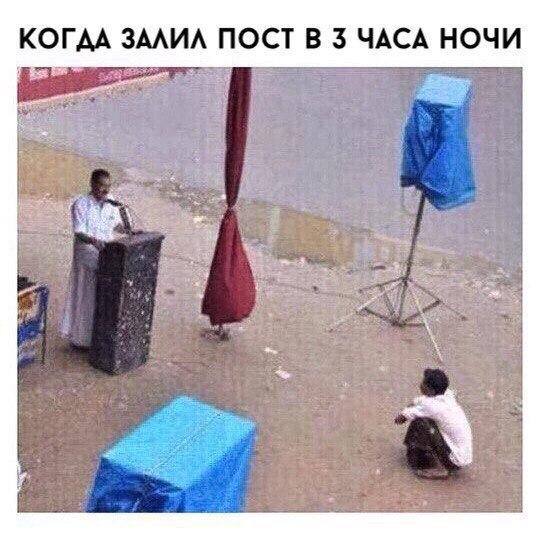 Забавные фото приколы и картинки с надписями 