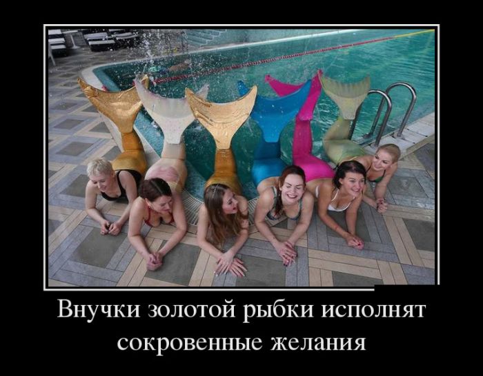 Зачетные, смешные и прикольные демотиваторы для поднятия настроения на весь день Зачетные, смешные и прикольные демотиваторы для поднятия настроения на весь день демотиваторы свежие,приколы,смешные демотиваторы,юмор