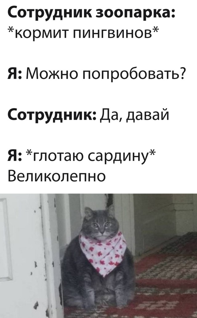 Подборка прикольных картинок  приколы,смешные картинки,юмор