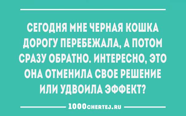 Кошка черная перебежала дорогу