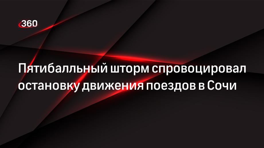 Пятибалльный шторм спровоцировал остановку движения поездов в Сочи