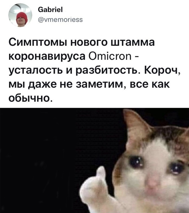 Подборка прикольных картинок  приколы,смешные картинки,юмор