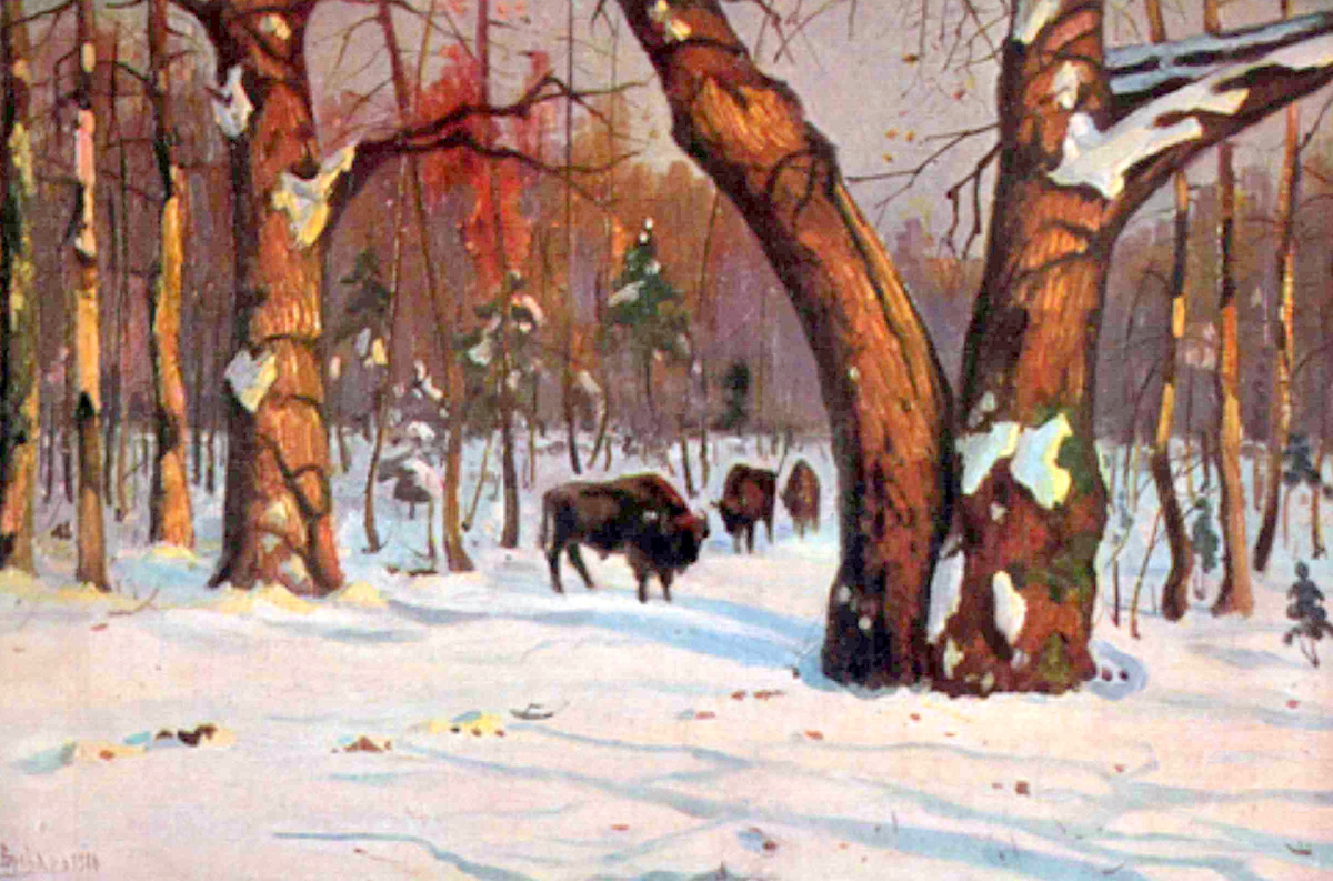 Яков Бровар «Зимний пейзаж. Вид Беловежской пущи», 1908 год