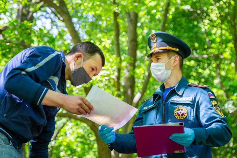 Инспектор общественного контроля. Инспектор МЧС. Инспектор пожарного надзора. Экологический инспектор.