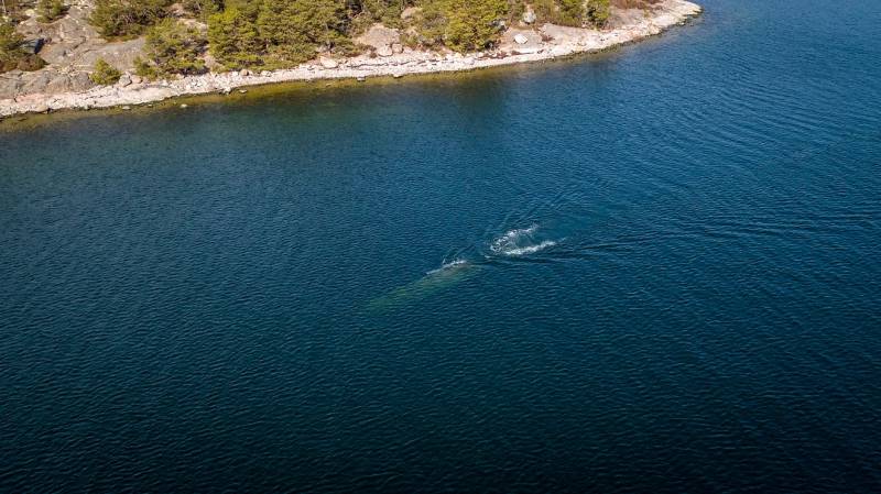 Сверхмалая подлодка JFD Shadow Seal завершает испытания вмф