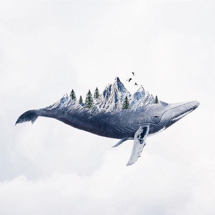 Surreal Art By Luisa Azevedo
