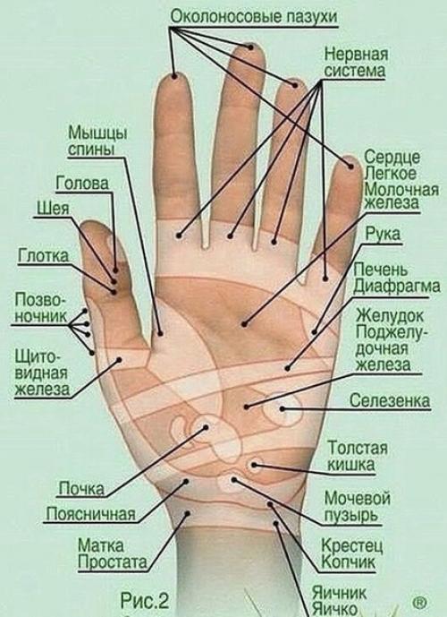 Волшебный массаж пальцев руки.