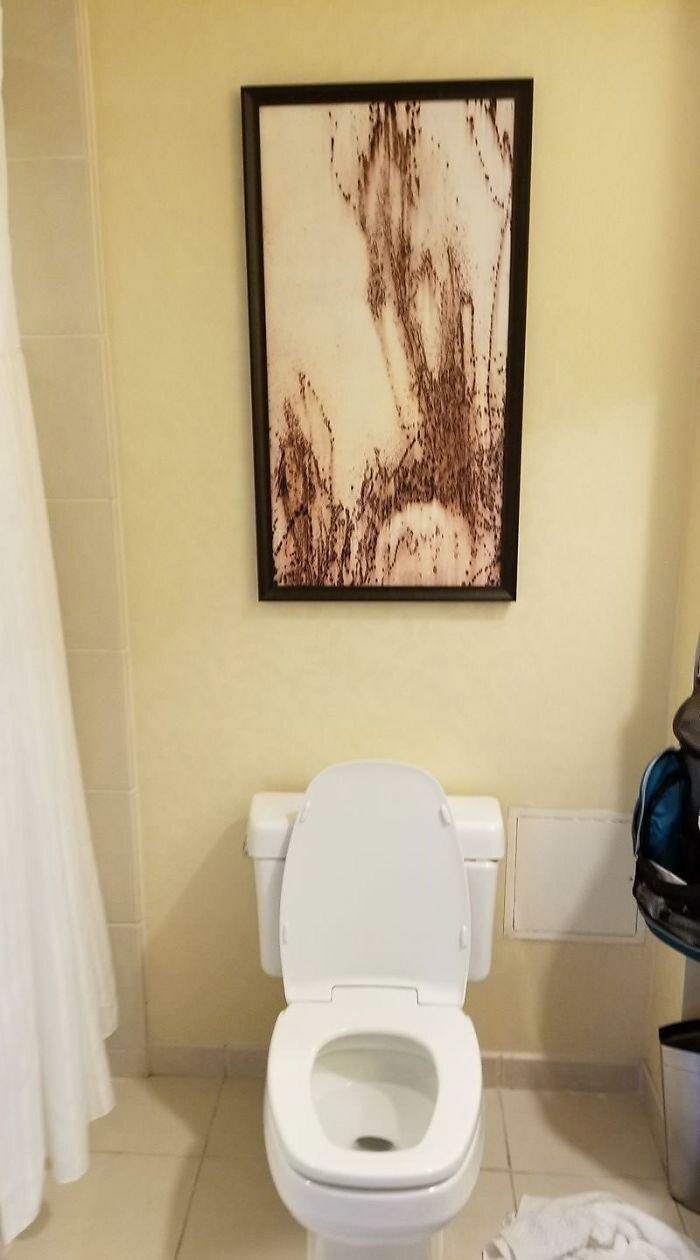 25 забавных курьёзов, которые произошли в отелях. Теперь смеётся весь интернет! 