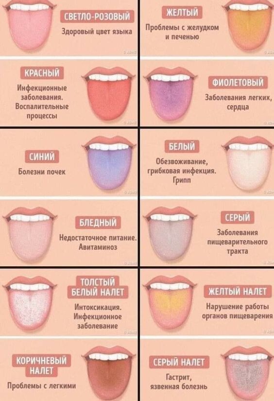 20 самых оздоровительных в мире шпаргалок