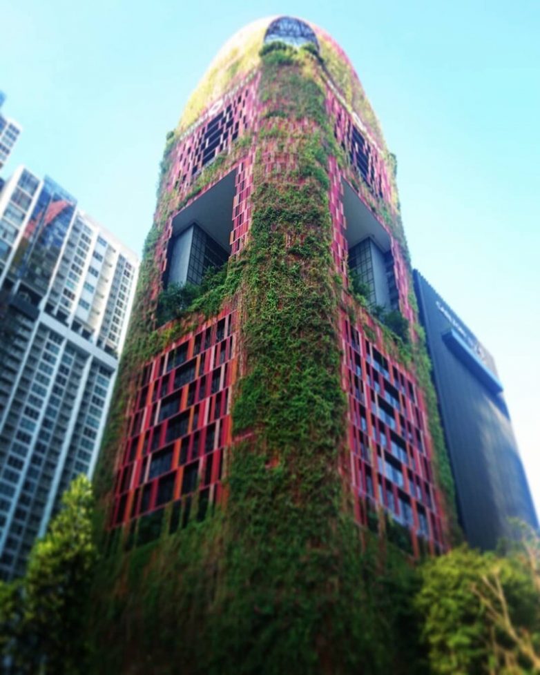 Ну давай, удиви меня, архитектор! 