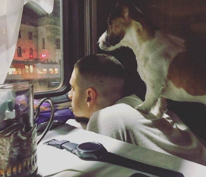 Скукота. ПОЕЗДАтая подборка Скукота. ПОЕЗДАтая подборка поездка