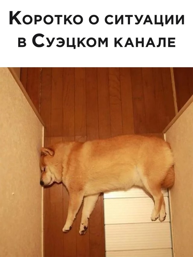 Подборка прикольных картинок Подборка прикольных картинок приколы,смешные картинки,юмор