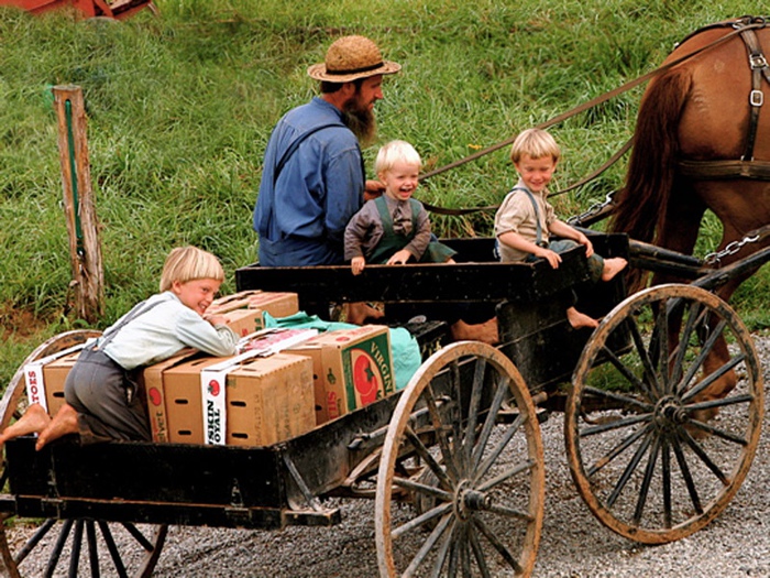 Люди из прошлого:  Как живут сегодня старообрядцы, мормоны и меннониты амиши,жизнь,меннониты,мормоны,староверы