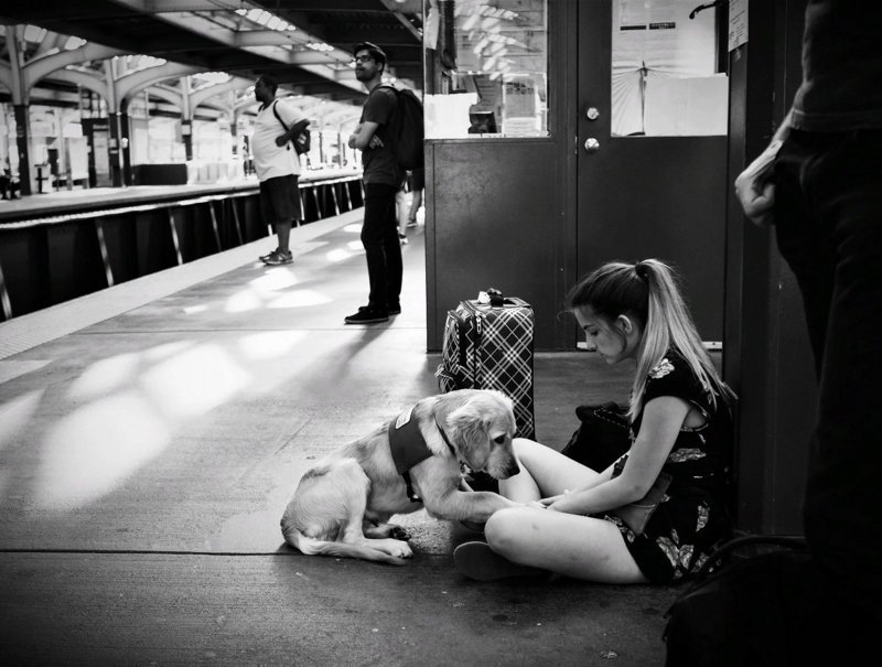 Скукота. ПОЕЗДАтая подборка Скукота. ПОЕЗДАтая подборка поездка