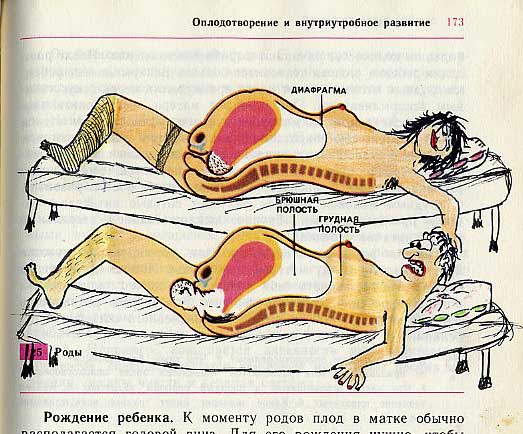 Забавно разрисованный учебник биологии перенесет вас назад в 9-й класс 