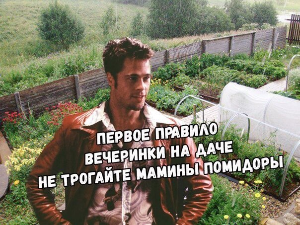 Дачный юмор 