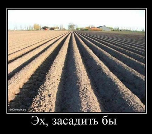 Смешных демотиваторов пост 