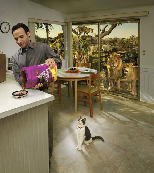 Забавно (40фоток)