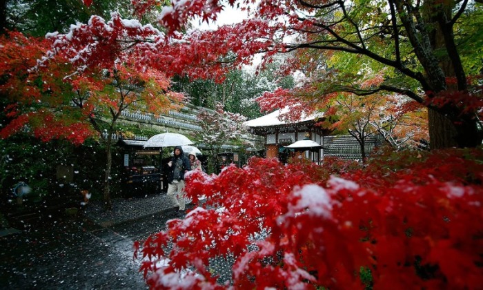 Как японцы выживают зимой в многоквартирных домах без центрального отопления архитектура,где и как,идеи для дома,кто,Япония, газ, климат, погода, причины, центральное отопление, экономия