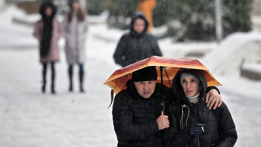 Небольшой снег и до 4°С мороза прогнозируют синоптики в Москве 28 января
