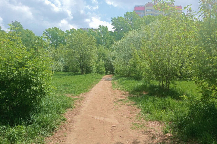 Совместная работа жителей и власти: как в Барнауле преображают бывший парк имени Ленина