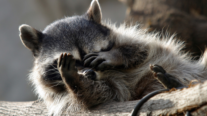 ПОСЛЕДНИЕ НОВОСТИ: 20.11.2022 вечер геополитика,россия,украина