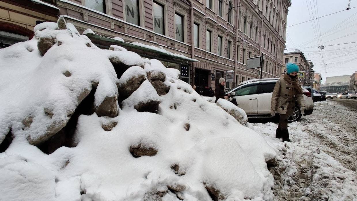 Смольный выделил из бюджета 5,5 млн рублей на очистку дачи Беглова от снега
